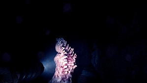5 melhores jogos de terror de sobrevivência como Sons of the Forest para jogar em 2023